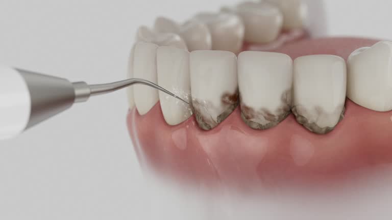 Reliable Dental contractor in Anchorage, KY by Dentist Open Now